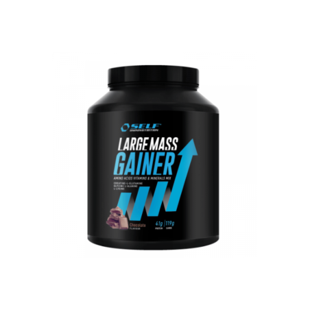 Large Mass Gainer Self Omninutrition – Proteine e carboidrati per aumentare massa muscolare.