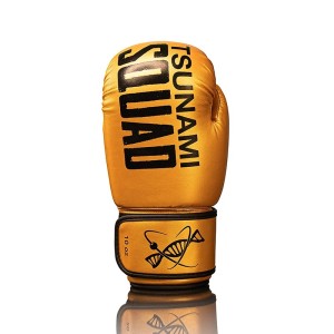 Guantoni Boxe Squad Oro – Stile e Potenza | TN Clothing