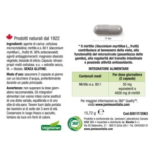 Mirtillo Jamieson – Supporto Naturale al Microcircolo.